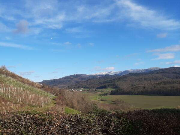 Dienstag 3 Stunden Wanderung