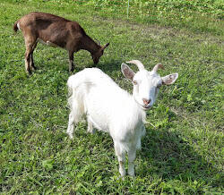 Dienstag 2 Stunden Wanderung