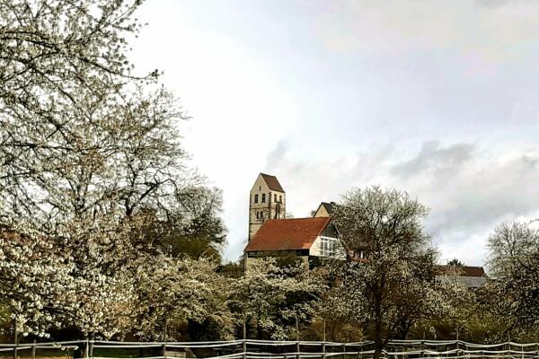 Dienstag 3 Stunden Wanderung
