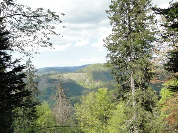 Dienstag 3 Stunden Wanderung
