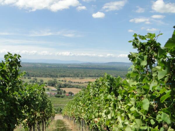 Dienstag 3 Stunden Wanderung