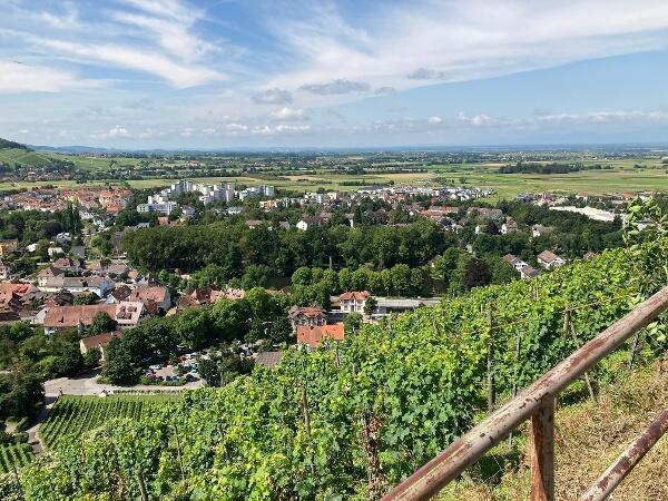 2 Stunden Wanderung