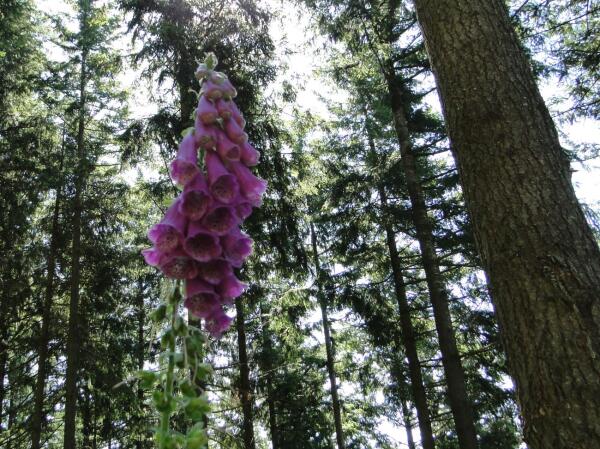 Dienstag 3 Stunden Wanderung