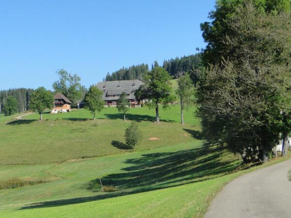 Hinterzarten Weißtannenhöhe Breitnau