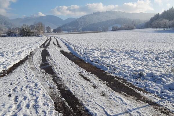Dienstag 3 Stunden Wanderung