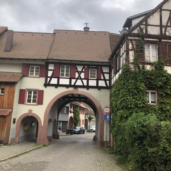 Zwischen Wald und Wein zur Burg Lichteneck