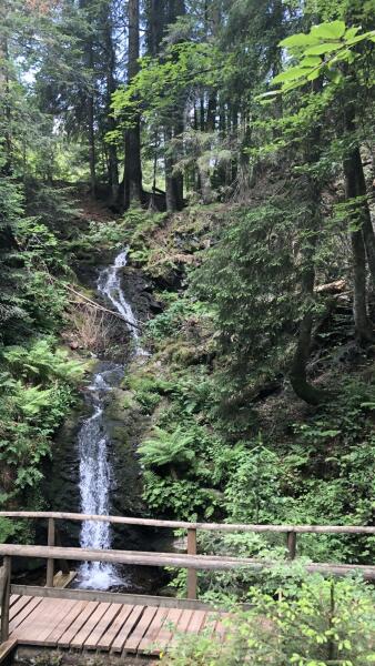 Der Lebküchlerweg mit dem OV Müllheim-Badenweiler eV