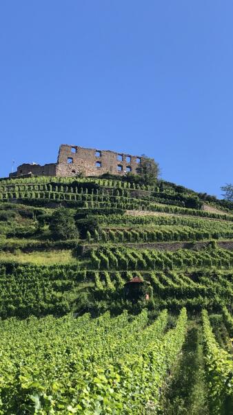 Dienstag 2 Stunden Wanderung