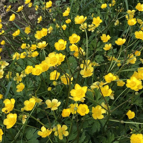 Dienstag 2 Stunden Wanderung