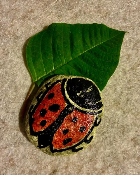 Erlebnistag für Kinder und Familie