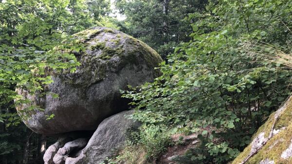 Der Hotzenpfad mit dem OV Müllheim - Badenweiler