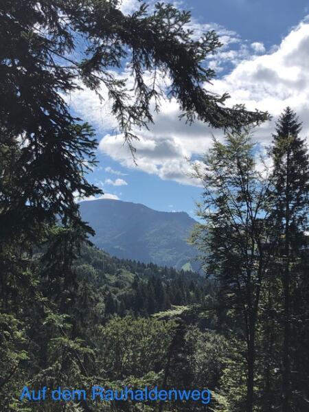 Dienstag 3 Stunden Wanderung