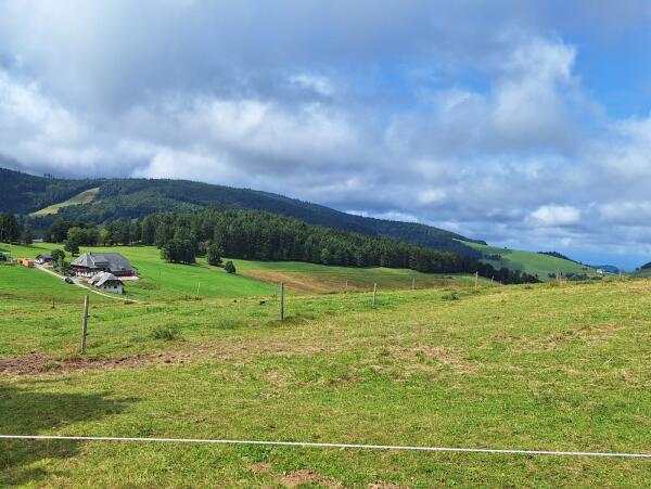 4-Jahreszeiten-Tour Sommer