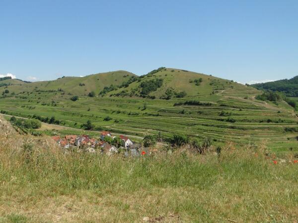 Kaiserstuhl: Rundtour ab Bahlinger Eck