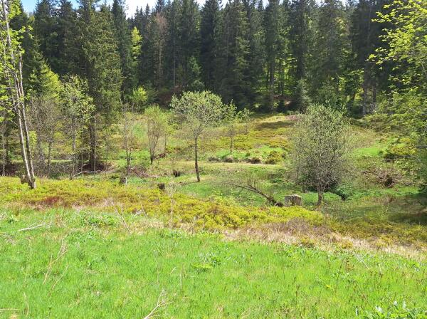 4-Jahreszeiten-Tour Frühling