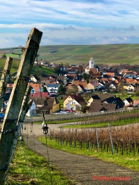 Dienstag 3 Stunden Wanderung