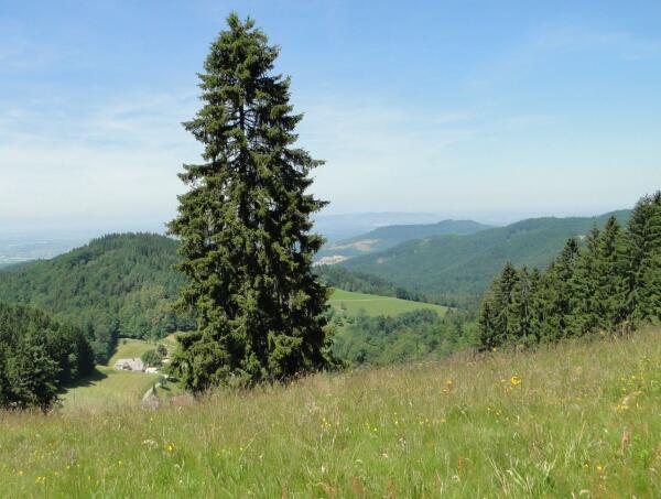 Dienstag 3 Stunden Wanderung