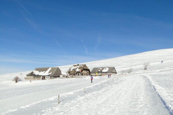Schneewanderung  Haldenköpfle St. Wilhelmer Hütte und zurück
