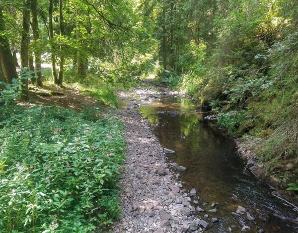 Drei Schluchten-Wanderung