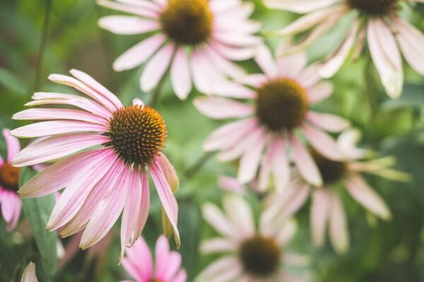 Dienstag 2 Stunden Wanderung