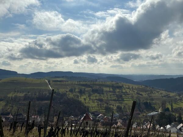 Frühling im Markgräfler Land 